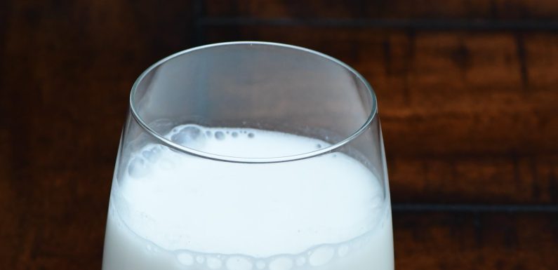 Co warto wiedzieć o roślinnym mleku na bazie owsa